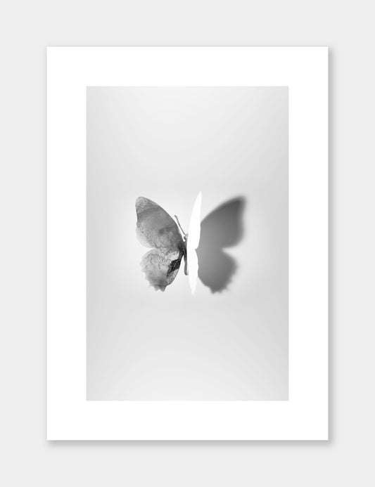 Butterfly - Grey