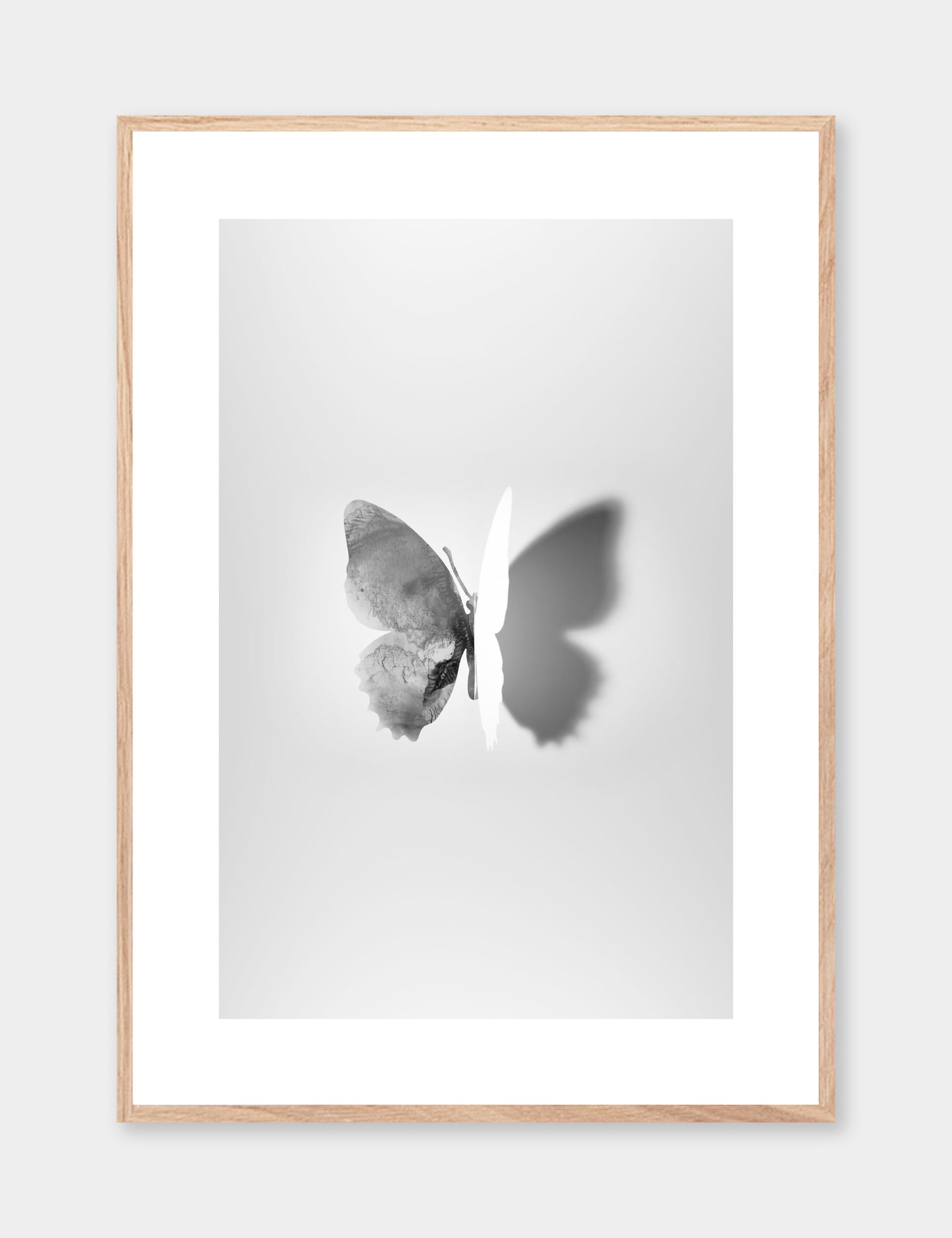 Butterfly - Grey